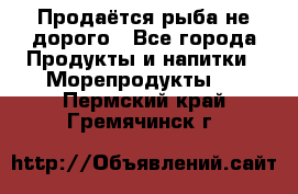 Продаётся рыба не дорого - Все города Продукты и напитки » Морепродукты   . Пермский край,Гремячинск г.